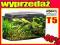 AQC190 AQUAEL AKW 80x35x40cm 112L + POKRYWA 24W T5 AQC190 AQUAEL AKW 80x35x40cm 112L + POKRYWA 24W T5