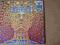 TOOL - MMXII - 2LPS PICTURE DISCS-RECORDED 4/2/12