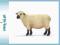 Emaluj -- SCHLEICH Owca odmiana Shropshire [WAWA]
