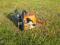 STIHL 023C  bardzo ladna  TANIO