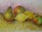 MARTWA NATURA - OWOCE - pastel olejny 27x18cm