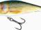 Wobler Salmo EXECUTOR REAL ROACH 7cm/9g flo SDR