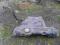 ZBIORNIK POMPA PALIWA RENAULT SCENIC II 2.0 16V