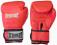 Rękawice bokserskie EVERFIGHT 10oz  FIRE