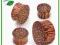 Plug 10 mm drewno kokosowe