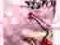 Podkolanówki Betty Boop oryginalne różowe taniutko