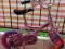 ROWER dla dziewczynki SIMPLE BIKE BMX 12