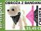 OBROŻA Z CHUSTKĄ DLA PSA CHUSTA BANDAMKA 35 i 45cm