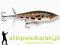 Wobler Rapala Skitter Prop 7cm-F/8g, Kolor: F