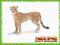 Schleich Gepard samica 14614