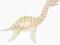Puzzle drewniane_składanka_ Plesiosaurus