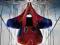 The Amazing Spider - Man 2 - ( Wii U ) - ANG