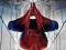The Amazing Spider - Man 2 - ( Xbox ONE )