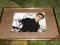 TILL LINDEMANN Rammstein 13-18 cm i inne