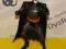 DC Universe - Batman - Figurka 15 cm od Mattel