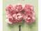 :EWA: Kwiatki papierowe 3cm RÓŻE ROSE 6szt.