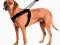 Patento Pet Sport szelki dla psa rozmiar XL