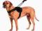 Patento Pet Jockey szelki dla psa rozmiar XL