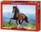 Puzzle 1500 Castorland 150755 Galloping Andalusian