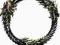 Elder Scrolls Online Konto