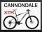 Rower CANNONDALE FLASH CARBON 2 - XTR - X0 - 19