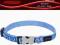 RED DINGO - Obroża L - CRICADELIC MID BLUE