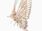 Puzzle drewniane_składanka_Motyl