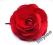 Stroik ślubny - czerwona róża spinka, rękodzieło