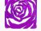 Element dekoracyjny Koziol Romance fioletowy