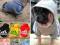 Hit!!Bluza Adidog dla psa S-XXL