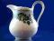 uroczy dzbanuszek-mlecznik
