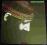 # LP BRUCE PALMER the cycle is complete ##### NOWA