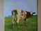 ATOM HEART MOTHER PINK FLOYD UK HARVEST EX+