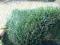 sztuczna trawa ,boisko do piłki nożnej ponad 1000m