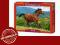 Puzzle Castorland REDDISH-BROWN HORSE 1000 el.