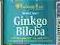 Gingko Biloba 120 mg 100 kaps Miłorząb japoński