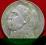 5 złotych 1934 zł Piłsudski ORZEŁ STRZELECKI
