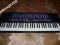 Keyboard CASIO 451