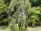 Ghillie suit JW GROM OKAZJA, NOWA CENA !!!!