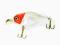 Wobler SPRO B.B.CRANKBAIT 5cm waga 7g (31)