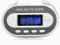 Wireless FM Transmiter Radio Apple iPod iPhone MP3