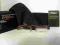 OPRAWKI OKULARY PORSCHE DESIGN mod. 8143 BROWN