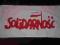 flaga SOLIDARNOŚĆ
