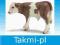 SCHLEICH CIELĘ RASY SIMMENTAL OD RĘKI