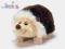 Teddykompaniet mięciutki pluszowy Jeżyk Rolf 24cm