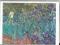 M-54-Van Gogh- Irysy