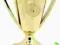 PUCHAREK PUCHAR + TABLICZKA Z GRAWEREM