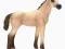 SCHLEICH 13702 ŹREBIĘ AKHAL-TEKE