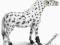 SCHLEICH 13617 KLACZ RASY KNABSTRUP