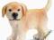 SCHLEICH 16378 GOLDEN RETRIEVER SZCZENIAK